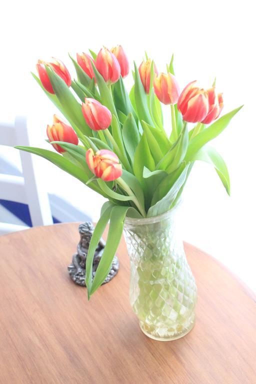 Tulip Of Amsterdam Bed & Breakfast Стая снимка