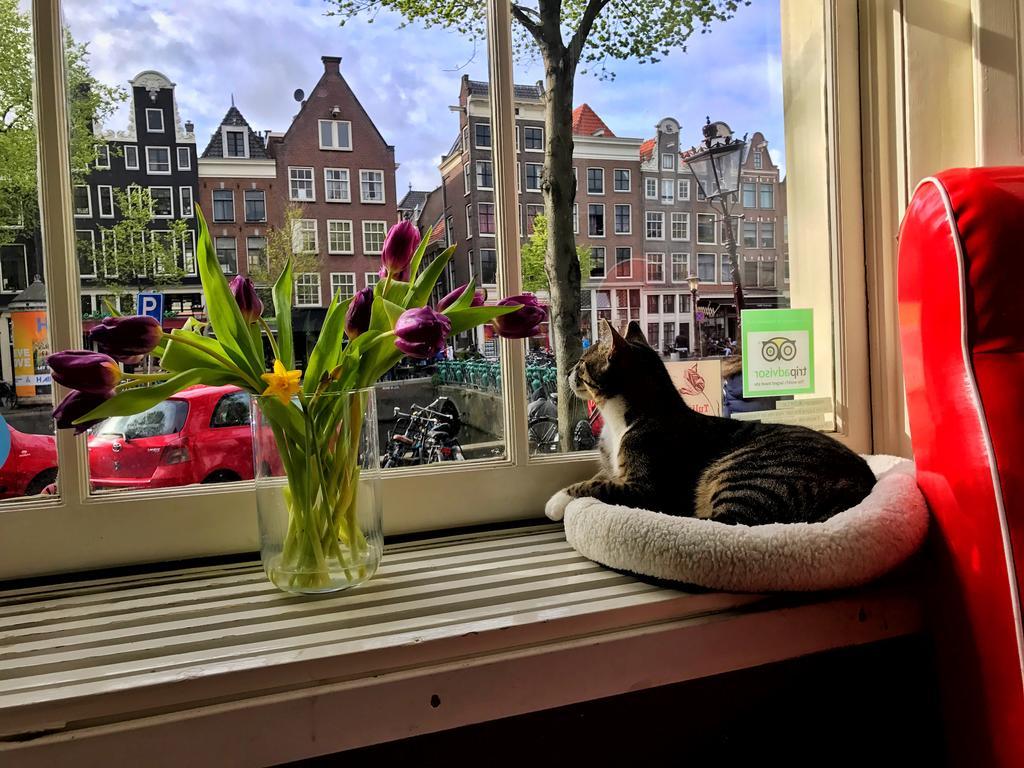 Tulip Of Amsterdam Bed & Breakfast Екстериор снимка